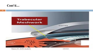 Cont’d…
3/26/2024
Rebira W. (AHN student)
31
 