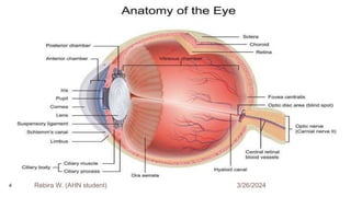 3/26/2024
Rebira W. (AHN student)
4
 