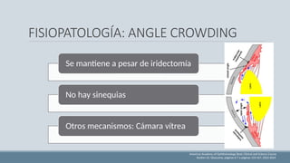 GLAUCOMA PRIMARIO DE ÁNGULO CERRADO.pptx