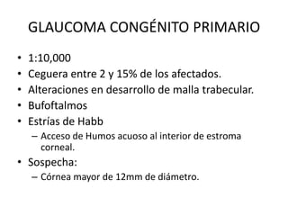 GLAUCOMA NEOVASCULARConsecuensia tardía de:Retinopatía diabética.Oclusión de vena central retinianaEnfermedad Obstructiva carotidea.