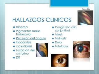 HALLAZGOS CLINICOS
 Hipema
 Pigmentos malla
trabecular
 Recesión del ángulo
 Iridodialisis
 ciclodialisis
 Luxación del
cristalino
 DR
 Congestión cilio
conjuntival
 Miosis
 Midriasis
 Dolor
 Fotofobia
Recesión
 