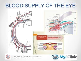 BLOOD SUPPLY OF THE EYE
AIO 2017. GLAUCOMA: Vascular risk factors
 