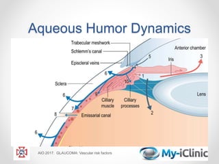 Aqueous Humor Dynamics
AIO 2017. GLAUCOMA: Vascular risk factors
 