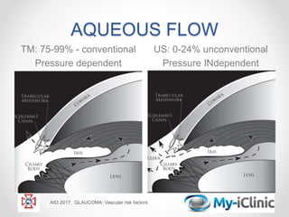 AQUEOUS FLOW
TM: 75-99% - conventional
Pressure dependent
US: 0-24% unconventional
Pressure INdependent
AIO 2017. GLAUCOMA: Vascular risk factors
 