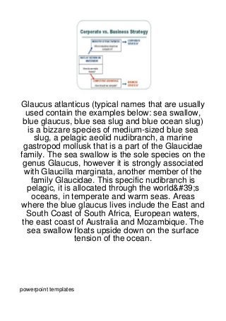 Glaucus atlanticus (typical names that are usually
  used contain the examples below: sea swallow,
 blue glaucus, blue sea slug and blue ocean slug)
   is a bizzare species of medium-sized blue sea
     slug, a pelagic aeolid nudibranch, a marine
  gastropod mollusk that is a part of the Glaucidae
family. The sea swallow is the sole species on the
 genus Glaucus, however it is strongly associated
  with Glaucilla marginata, another member of the
    family Glaucidae. This specific nudibranch is
   pelagic, it is allocated through the world&#39;s
    oceans, in temperate and warm seas. Areas
where the blue glaucus lives include the East and
   South Coast of South Africa, European waters,
 the east coast of Australia and Mozambique. The
   sea swallow floats upside down on the surface
                  tension of the ocean.




powerpoint templates
 