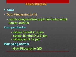 PENGURUSAN
1. Ubat
• Gutt Pilocarpine 2-4%
- untuk mengecutkan pupil dan buka sudut
kamar anterior
Cara pemberian
- setiap 5 minit X ½ jam
- setiap 15 minit X 2-3 jam
- setiap jam X 12 jam
Mata yang normal
- Gutt Pilocarpine QID
 