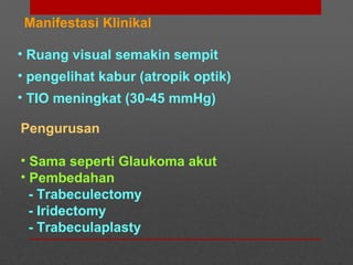Manifestasi Klinikal
• Ruang visual semakin sempit
• pengelihat kabur (atropik optik)
• TIO meningkat (30-45 mmHg)
Pengurusan
• Sama seperti Glaukoma akut
• Pembedahan
- Trabeculectomy
- Iridectomy
- Trabeculaplasty
 