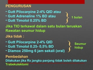 PENGURUSAN
• Gutt Pilocarpine 2-4% QID atau
• Gutt Adrenaline 1% BD atau
• Gutt Timolol 0.25% BD
Jika TIO terkawal dalam satu bulan teruskan
Rawatan seumur hidup
Jika tidak :
• Gutt Pilocarpine 2-4% QID
• Gutt Timolol 0.25- 0,5% BD
• Diamox 250mg 6 jam sekali (oral)
Pembedahan
Dilakukan jika Rx jangka panjang tidak boleh dilakukan
Trabekulektomi
}1 bulan
}Seumur
hidup
 