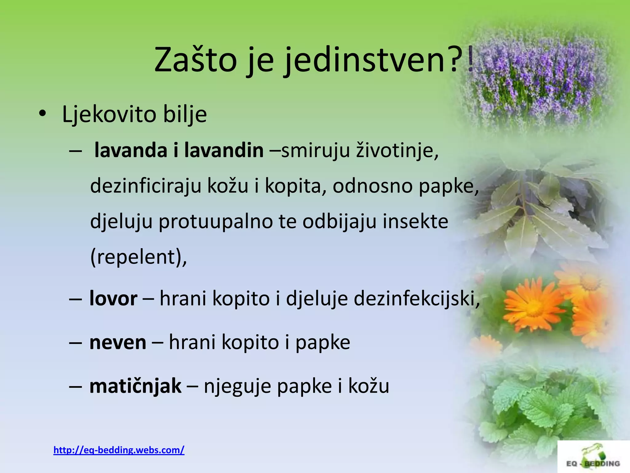 Zašto je jedinstven?!
• Ljekovito bilje
    – lavanda i lavandin –smiruju životinje,
        dezinficiraju kožu i kopita, odnosno papke,
        djeluju protuupalno te odbijaju insekte
        (repelent),
    – lovor – hrani kopito i djeluje dezinfekcijski,
    – neven – hrani kopito i papke
    – matičnjak – njeguje papke i kožu

 http://eq-bedding.webs.com/
 