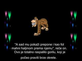 "A sad mu pokaži prepone i kao fol mahni haljinom prema njemu", reče on.  Ovo je totalno raspalilo gorilu, koji je počeo praviti brze okrete.   
