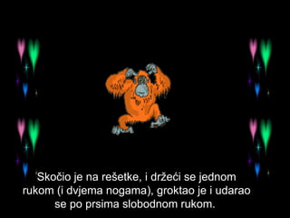Skočio je na rešetke, i držeći se jednom rukom (i dvjema nogama), groktao je i udarao se po prsima slobodnom rukom.  
