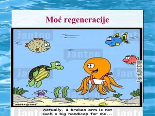 Moć regeneracije
 