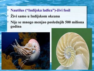 Nautilus (“Indijska lađica”)-živi fosil
Živi samo u Indijskom okeanu
Nije se mnogo menjao poslednjih 500 miliona
godina
 