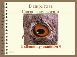 В мире глаз . Глаза-залог жизни. Увидишь-удивишься?! 