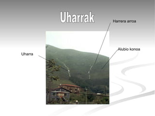 Uharrak Alubio konoa Uharra Harrera arroa 