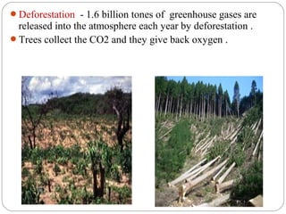 Deforestation - 1.6 billion tones of greenhouse gases are
 released into the atmosphere each year by deforestation .
Trees collect the CO2 and they give back oxygen .
 