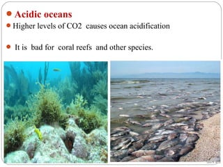 Acidic oceans
Higher levels of CO2 causes ocean acidification


 It is bad for coral reefs and other species.
 