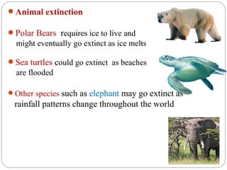 Animal extinction

Polar Bears requires ice to live and
  might eventually go extinct as ice melts

Sea turtles could go extinct as beaches
  are flooded

Other species such  as elephant may go extinct as
 rainfall patterns change throughout the world
 