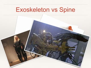 Exoskeleton vs Spine
 