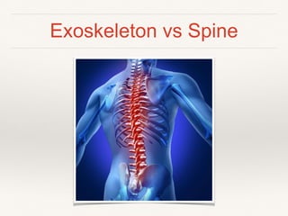 Exoskeleton vs Spine
 