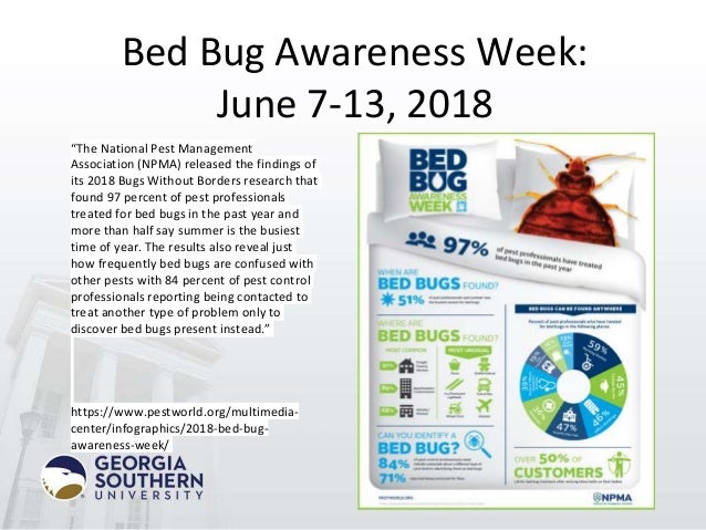 Don't let the Bed Bugs bite!