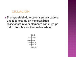 El grupo aldehído o cetona en una cadena
lineal abierta de un monosacárido
reaccionará reversiblemente con el grupo
hidroxilo sobre un átomo de carbono