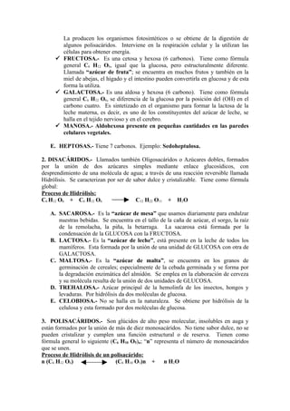 GlúCidos | PDF