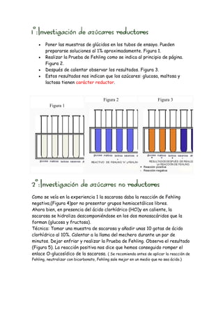 •   Poner las muestras de glúcidos en los tubos de ensayo. Pueden
       prepararse soluciones al 1% aproximadamente. Figura 1.
   •   Realizar la Prueba de Fehling como se indica al principio de página.
       Figura 2.
   •   Después de calentar observar los resultados. Figura 3.
   •   Estos resultados nos indican que los azúcares: glucosa, maltosa y
       lactosa tienen carácter reductor.


                                         Figura 2                        Figura 3
          Figura 1




Como se veía en la experiencia 1 la sacarosa daba la reacción de Fehling
negativa,(Figura 4)por no presentar grupos hemiacetálicos libres.
Ahora bien, en presencia del ácido clorhídrico (HCl)y en caliente, la
sacarosa se hidroliza descomponiéndose en los dos monosacáridos que la
forman (glucosa y fructosa).
Técnica: Tomar una muestra de sacarosa y añadir unas 10 gotas de ácido
clorhídrico al 10%. Calentar a la llama del mechero durante un par de
minutos. Dejar enfriar y realizar la Prueba de Fehling. Observa el resultado
(Figura 5). La reacción positiva nos dice que hemos conseguido romper el
enlace O-glucosídico de la sacarosa. ( Se recomienda antes de aplicar la reacción de
Fehling, neutralizar con bicarbonato, Fehling sale mejor en un medio que no sea ácido.)
 
