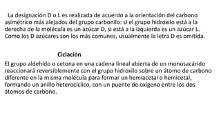 La designación D o L es realizada de acuerdo a la orientación del carbono
asimétrico más alejados del grupo carbonilo: si el grupo hidroxilo está a la
derecha de la molécula es un azúcar D, si está a la izquierda es un azúcar L.
Como los D azúcares son los más comunes, usualmente la letra D es omitida.
Ciclación
El grupo aldehído o cetona en una cadena lineal abierta de un monosacárido
reaccionará reversiblemente con el grupo hidroxilo sobre un átomo de carbono
diferente en la misma molécula para formar un hemiacetal o hemicetal,
formando un anillo heterocíclico, con un puente de oxígeno entre los dos
átomos de carbono.
 
