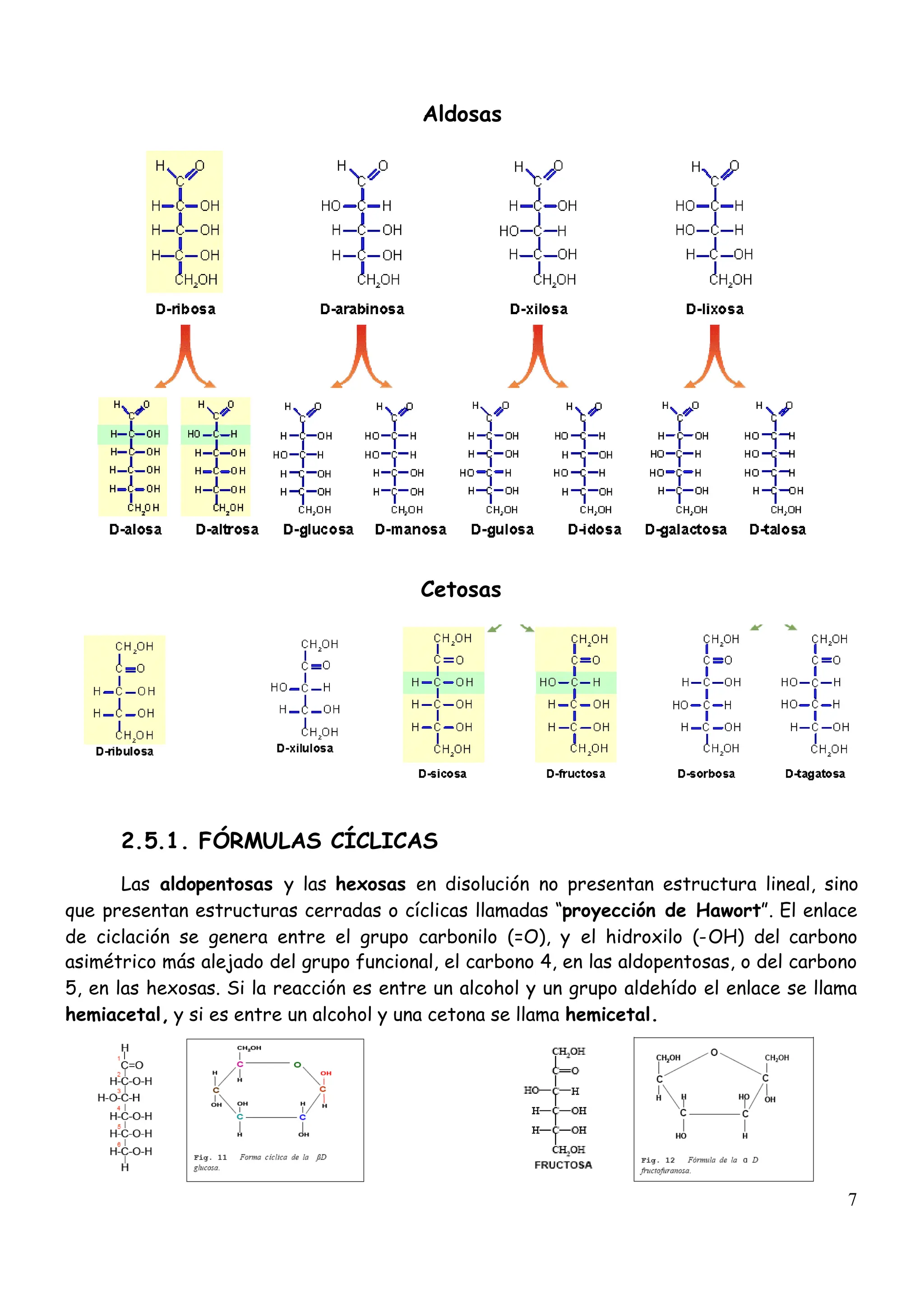 glucosidos-informacion-general-y-explicacion-pdf