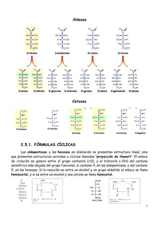 7
Aldosas
Cetosas
2.5.1. FÓRMULAS CÍCLICAS
Las aldopentosas y las hexosas en disolución no presentan estructura lineal, sino
que presentan estructuras cerradas o cíclicas llamadas “proyección de Hawort”. El enlace
de ciclación se genera entre el grupo carbonilo (=O), y el hidroxilo (-OH) del carbono
asimétrico más alejado del grupo funcional, el carbono 4, en las aldopentosas, o del carbono
5, en las hexosas. Si la reacción es entre un alcohol y un grupo aldehído el enlace se llama
hemiacetal, y si es entre un alcohol y una cetona se llama hemicetal.
 