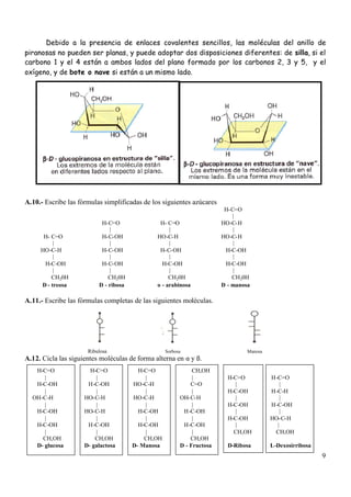9
Debido a la presencia de enlaces covalentes sencillos, las moléculas del anillo de
piranosas no pueden ser planas, y puede adoptar dos disposiciones diferentes: de silla, si el
carbono 1 y el 4 están a ambos lados del plano formado por los carbonos 2, 3 y 5, y el
oxígeno, y de bote o nave si están a un mismo lado.
A.10.- Escribe las fórmulas simplificadas de los siguientes azúcares
H-C=O
|
H-C=O H- C=O HO-C-H
| | |
H- C=O H-C-OH HO-C-H HO-C-H
| | | |
HO-C-H H-C-OH H-C-OH H-C-OH
| | | |
H-C-OH H-C-OH H-C-OH H-C-OH
| | | |
CH20H CH20H CH20H CH20H
D - treosa D - ribosa o - arabinosa D - manosa
A.11.- Escribe las fórmulas completas de las siguientes moléculas.
Ribulosa Sorbosa Manosa
A.12. Cicla las siguientes moléculas de forma alterna en αy ß.
H-C=O
|
H-C-OH
|
OH-C-H
|
H-C-OH
|
H-C-OH
|
CH,OH
D- glucosa
H-C=O
|
H-C-OH
|
HO-C-H
|
HO-C-H
|
H-C-OH
|
CH,OH
D- galactosa
H-C=O
|
HO-C-H
|
HO-C-H
|
H-C-OH
|
H-C-OH
|
CH,OH
D- Manosa
CH,OH
|
C=O
|
OH-C-H
|
H-C-OH
|
H-C-OH
|
CH,OH
D - Fructosa
H-C=O
|
H-C-OH
|
H-C-OH
|
H-C-OH
|
CH,OH
D-Ribosa
H-C=O
|
H-C-H
|
H-C-OH
|
HO-C-H
|
CH,OH
L-Dexosirribosa
 