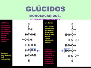 GLÚCIDOS MONOSACÁRIDOS.  ESTEROISOMERÍA 