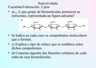 Selectividade
CuestiónsValoración: 2 ptos
• a) ¿ A que grupo de biomoléculas pertencen as
estructura, representada na figura adxunta?
• b) Indica en cada caso os compoñentes moleculares
que a forman.
• c) Explica o tipo de enlace que se establece entre
dichos compoñentes.
• d) Comenta algunha das funcións celulares de cada
unha de esas biomoléculas.
 