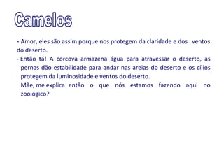 - Amor, eles são assim porque nos protegem da claridade e dos ventos
do deserto.
- Então tá! A corcova armazena água para atravessar o deserto, as
  pernas dão estabilidade para andar nas areias do deserto e os cílios
  protegem da luminosidade e ventos do deserto.
  Mãe, me explica então o que nós estamos fazendo aqui no
  zoológico?
 