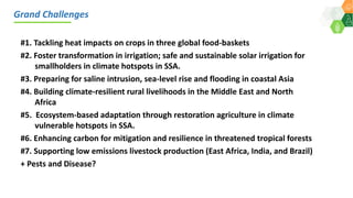 ICRISAT Global Planning Meeting 2019:CGIAR Research Program Grain Legumes and Dryland Cereals (CRP-GLDC) by Kiran K Sharma