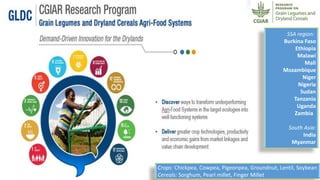 ICRISAT Global Planning Meeting 2019:CGIAR Research Program Grain Legumes and Dryland Cereals (CRP-GLDC) by Kiran K Sharma