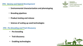 ICRISAT Global Planning Meeting 2019:CGIAR Research Program Grain Legumes and Dryland Cereals (CRP-GLDC) by Kiran K Sharma