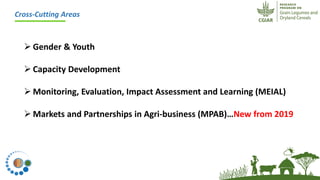 ICRISAT Global Planning Meeting 2019:CGIAR Research Program Grain Legumes and Dryland Cereals (CRP-GLDC) by Kiran K Sharma