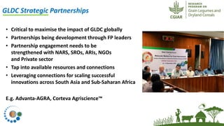 ICRISAT Global Planning Meeting 2019:CGIAR Research Program Grain Legumes and Dryland Cereals (CRP-GLDC) by Kiran K Sharma