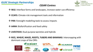 ICRISAT Global Planning Meeting 2019:CGIAR Research Program Grain Legumes and Dryland Cereals (CRP-GLDC) by Kiran K Sharma