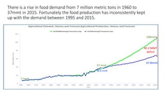Gendered youth transitions to adulthood in the Drylands: Implications for targeting