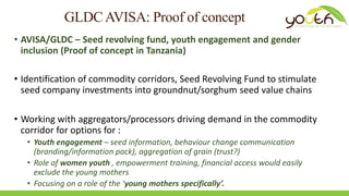 Gendered youth transitions to adulthood in the Drylands: Implications for targeting