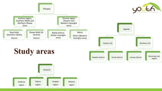 Gendered youth transitions to adulthood in the Drylands: Implications for targeting