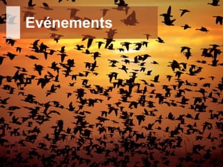 24.02.2017 - Page 37
Département de la sécurité et de l'économie
Direction générale des systèmes d'information
Evénements
 