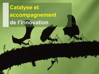 24.02.2017 - Page 39
Département de la sécurité et de l'économie
Direction générale des systèmes d'information
Catalyse et
accompagnement
de l’innovation
 