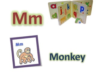 MmMonkey 