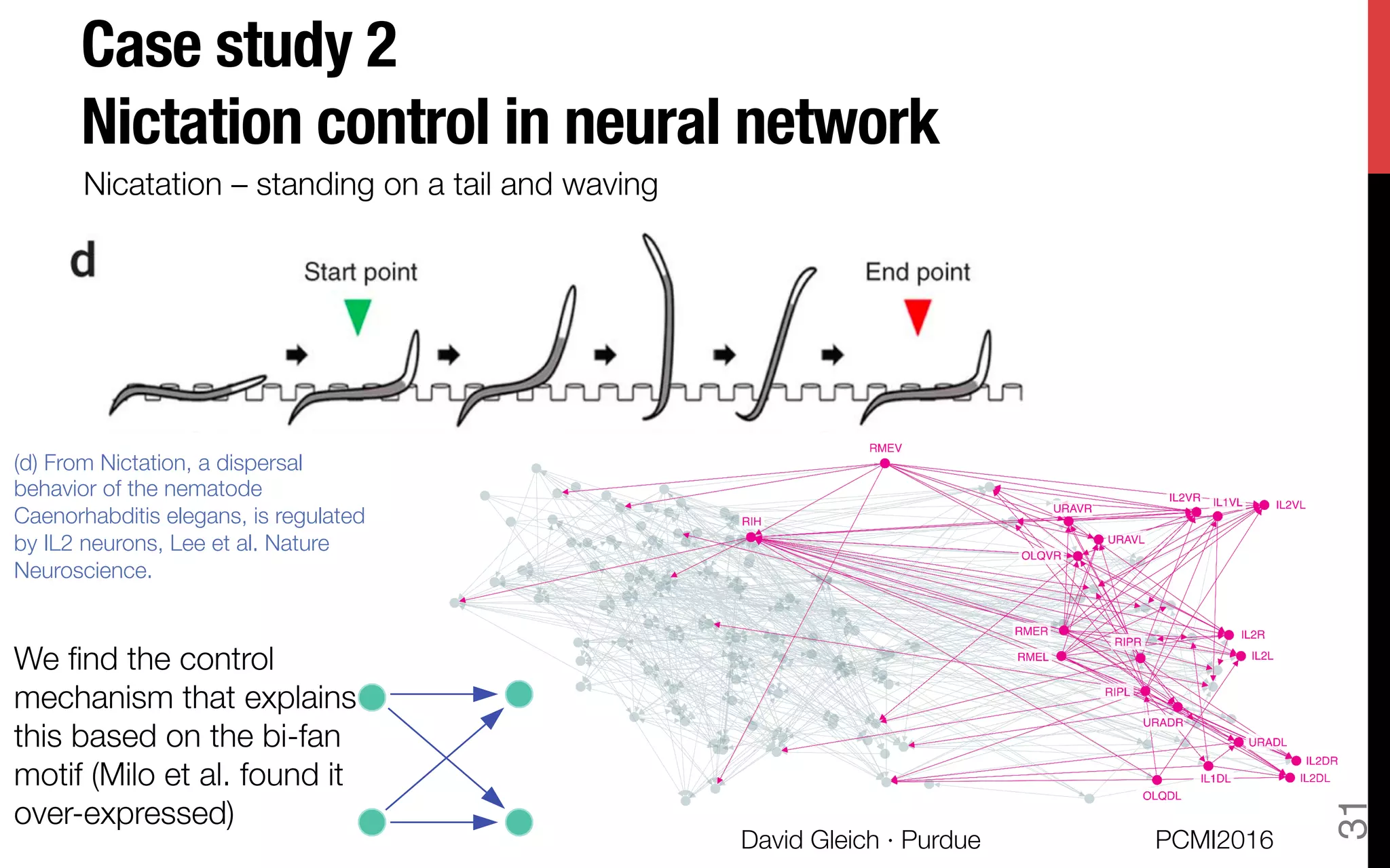 Case study 2!
Nictation control in neural network
(d) From Nictation, a dispersal
behavior of the nematode
Caenorhabditis elegans, is regulated
by IL2 neurons, Lee et al. Nature
Neuroscience.
"
We ﬁnd the control
mechanism that explains
this based on the bi-fan
motif (Milo et al. found it
over-expressed) 
A B
C
Nicatation – standing on a tail and waving 
A B
PCMI2016
David Gleich · Purdue 
31
 