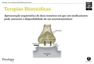 Psicologia – Henry Gleitman, Daniel Reisberg e James Gross
Terapias Biomédicas
Apresentação esquemática de duas maneiras em que um medicamento
pode aumentar a disponibilidade de um neurotransmissor
 