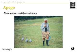 Psicologia – Henry Gleitman, Daniel Reisberg e James Gross
Apego
Estampagem em filhotes de pato
 